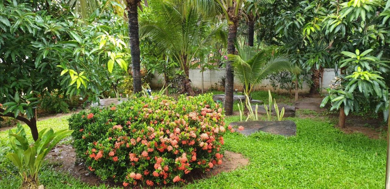 Nuch'S Apple Guest House Si Bun Ruang Buitenkant foto