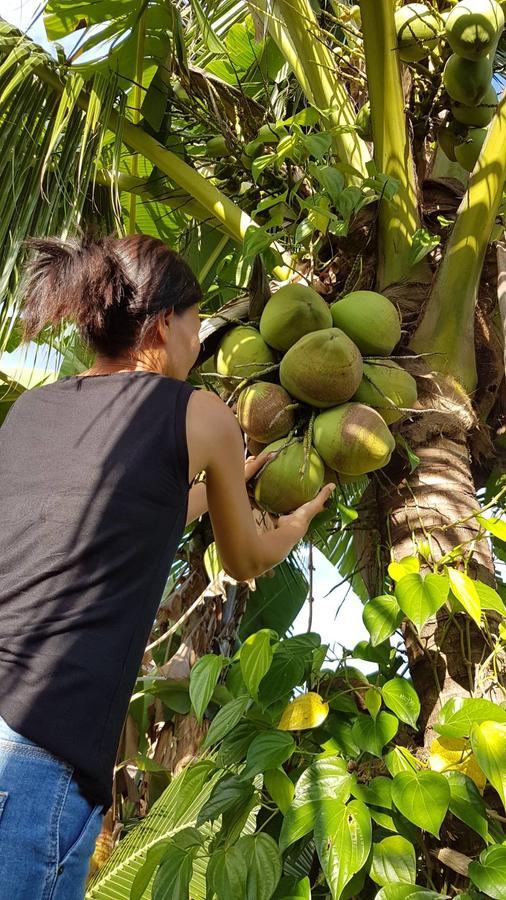 Nuch'S Apple Guest House Si Bun Ruang Buitenkant foto